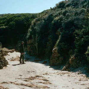 Lower Willows Canyon, San Miguel Island