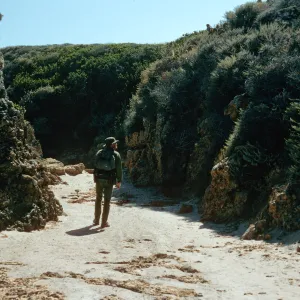 Lower Willows Canyon, San Miguel Island