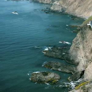 View of Cat Rock and South side, Middle Anacapa Island