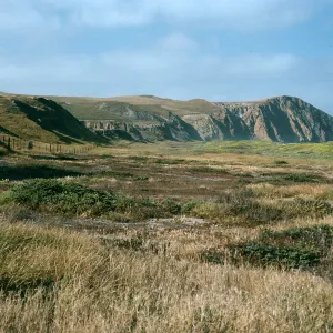 Christy Beach, Santa Cruz Island