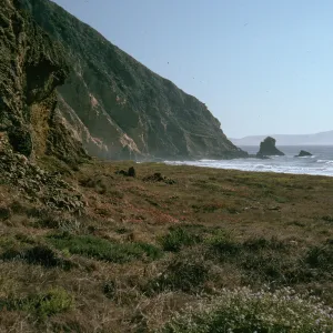 South end Christy Beach, Santa Cruz Island