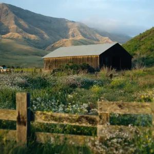 Christy Barn, Santa Cruz Island