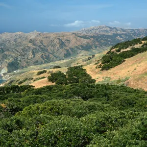 Valley Anchorage, Santa Cruz Island
