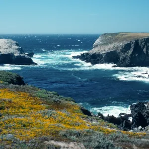 Fraser Point, Santa Cruz Island