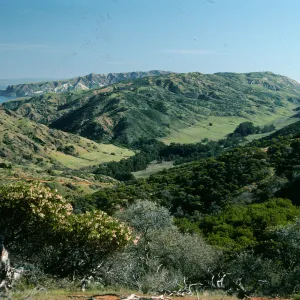 Central Valley, Santa Cruz Island