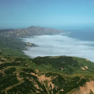 Fog at China Harbor, Santa Cruz Island