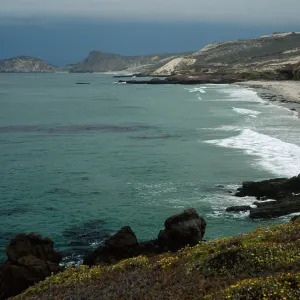 Range Marker Beach, Simonton Cove, San Miguel Island