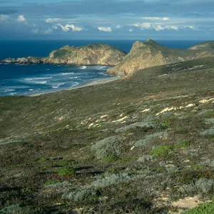 View of Harris Point, San Miguel Island