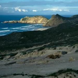 View of Harris Point, San Miguel Island