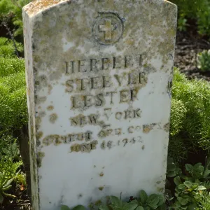 Herbert Lester Grave, San Miguel Island