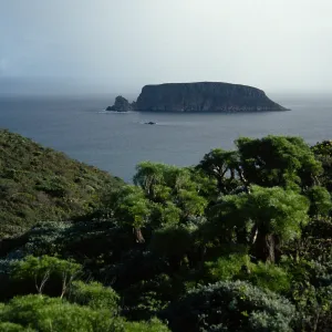 View of Prince Island, San Miguel Island