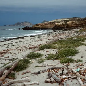 Range Marker Beach, Simonton Cove, San Miguel Island