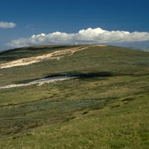 Green Mountain, East Flank, San Miguel Island