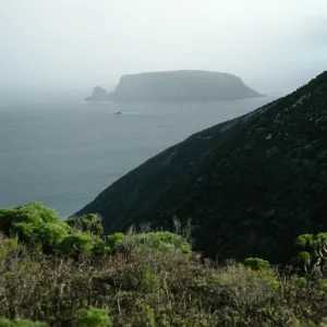 View of Prince Island, San Miguel Island