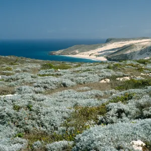 View of Cuyler Harbor, San Miguel Island