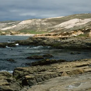 Rocks, West end of Simonton Cove, San Miguel Island