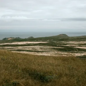 West end, San Miguel Island