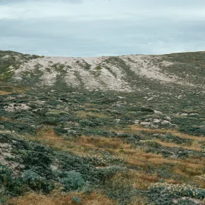 Sand stripes just northwest of mouth of Willow Canyon looking north, San Miguel Island
