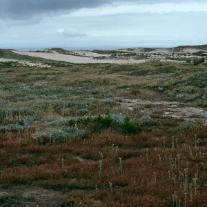 Dunes, West of San Miguel Peak, San Miguel Island