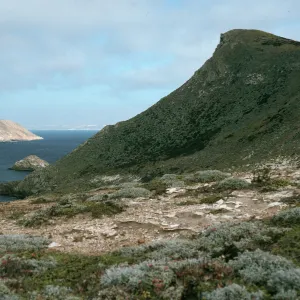 Harris Point, View of Prince Island, San Miguel Island