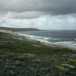 Looking West, Harris Point Peninsula, San Miguel Island