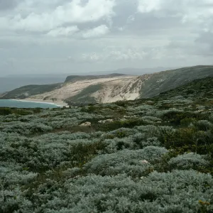 View of Cuyler Harbor from Harris Point Peninsula, San Miguel Island