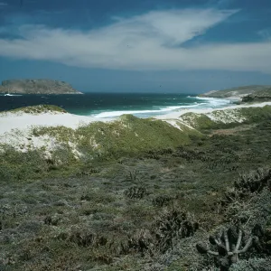 Dunes east of Cañada del Mar, Cuyler Harbor, San Miguel Island