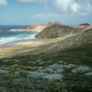 View of Harris Point and Lester Point, San Miguel Island
