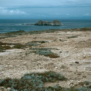 Castle Rock, Northwest side, San Miguel Island