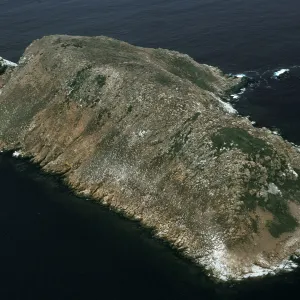 Prince Island, San Miguel Island