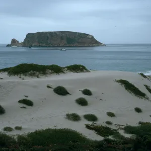 Price Island, Cuyler Harbor, San Miguel Island