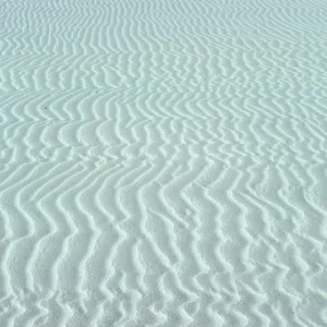Dune sand, San Miguel Island