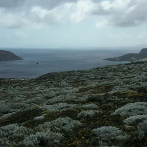 Prince Island View from Harris Point Peninsula, San Miguel Island