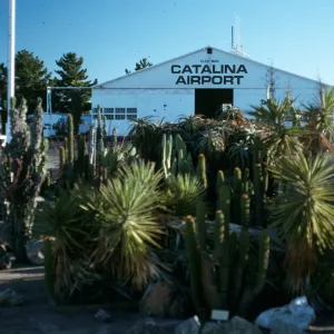 Airport, Santa Catalina Island