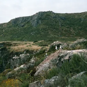 Todos Santos Islands, Northeast side of South Island