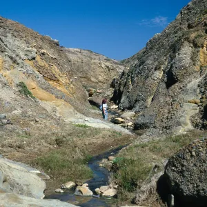 Santa Cruz Island, lower Sauces Canyon