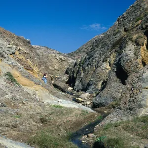 Santa Cruz Island, lower Sauces Canyon