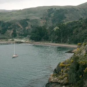 Santa Cruz Island, view of Prisoners Harbor