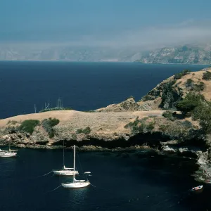 Santa Cruz Island, Pelican Bay