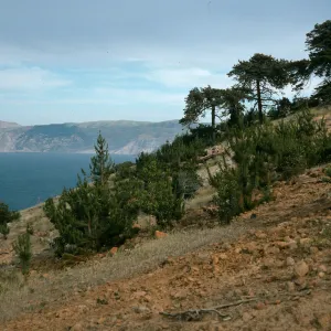 Santa Cruz Island, West of Pelican Bay