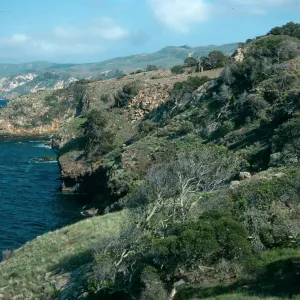 Santa Cruz Island, East of Pelican Bay
