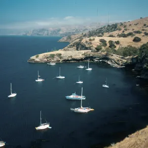 Santa Cruz Island, Pelican Bay