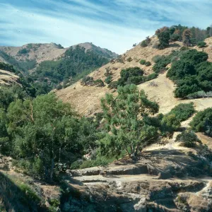 Santa Cruz Island, Pelican Bay, site of old resort