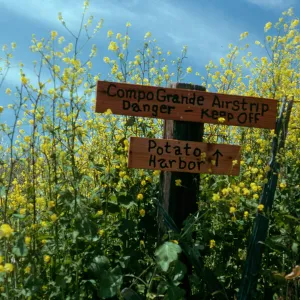 Santa Cruz Island, sign, Campo Grande airfield