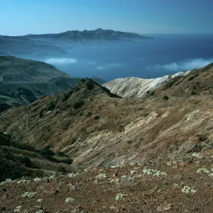 Santa Cruz Island, North shore from Montañon ridge