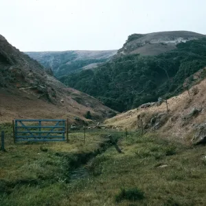 Santa Rosa Island, NPS fence, Lobo Canyon