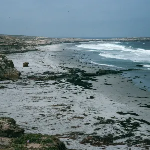 Santa Rosa Island, beach, North of Sandy Point