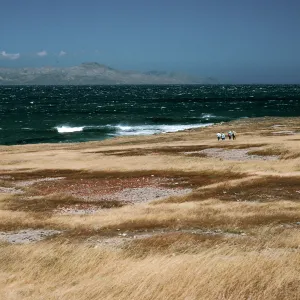 Santa Rosa Island, East Point