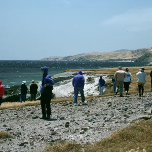Santa Rosa Island, Southeast end