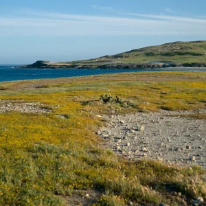 Santa Rosa Island, East Point area